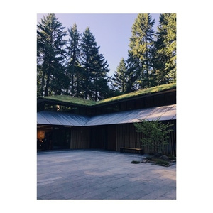 妇女自受❌❌高潮1000
