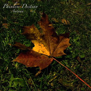 妇女自受❌❌高潮1000
